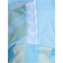 hummel 1. FC K&ouml;ln Karneval Torwarttrikot 2023/24 Kinder 6475 - airy blue 116