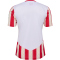 hummel 1. FC K&ouml;ln Karneval Trikot 2023/24 Kinder 9402 - white/true red 116