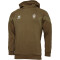 hummel SV Werder Bremen Sweat-Hoodie 2023/24 6599 - military olive L