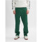 hummel hmlARCHIVE Regular Poly Trainingshose 6195 - dark green M