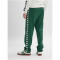 hummel hmlARCHIVE Regular Poly Trainingshose 6195 - dark green M
