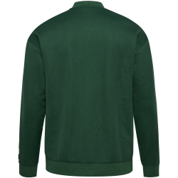 hummel hmlARCHIVE Regular Poly Trainingsjacke 6195 - dark...