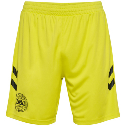 hummel DBU D&auml;nemark Torwartshorts 2024 5269 - blazing yellow S