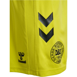 hummel DBU D&auml;nemark Torwartshorts 2024 5269 - blazing yellow S