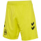 hummel DBU D&auml;nemark Torwartshorts 2024 5269 - blazing yellow S