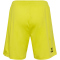 hummel DBU D&auml;nemark Torwartshorts 2024 5269 - blazing yellow S