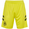 hummel DBU D&auml;nemark Torwartshorts 2024 5269 - blazing yellow S