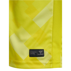 hummel DBU D&auml;nemark Torwarttrikot 2024 5269 - blazing yellow S