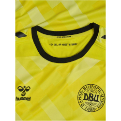 hummel DBU D&auml;nemark Torwarttrikot 2024 5269 - blazing yellow S