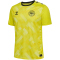 hummel DBU D&auml;nemark Torwarttrikot 2024 5269 - blazing yellow S