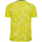 hummel DBU D&auml;nemark Torwarttrikot 2024 5269 - blazing yellow S