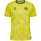 hummel DBU D&auml;nemark Torwarttrikot 2024 5269 - blazing yellow S
