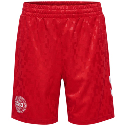 hummel DBU D&auml;nemark Ausw&auml;rtsshorts 2024 Kinder...
