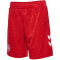 hummel DBU D&auml;nemark Ausw&auml;rtsshorts 2024 Kinder 3365 - tango red 128