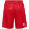 hummel DBU D&auml;nemark Ausw&auml;rtsshorts 2024 Kinder 3365 - tango red 128