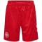hummel DBU D&auml;nemark Ausw&auml;rtsshorts 2024 Kinder 3365 - tango red 128