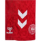 hummel DBU D&auml;nemark Ausw&auml;rtsshorts 2024 Kinder 3365 - tango red 128