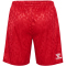 hummel DBU D&auml;nemark Ausw&auml;rtsshorts 2024 3365 - tango red S
