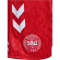 hummel DBU D&auml;nemark Ausw&auml;rtsshorts 2024 3365 - tango red S