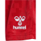 hummel DBU D&auml;nemark Ausw&auml;rtsshorts 2024 3365 - tango red S