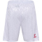 hummel DBU Heimshorts 2024 9160 - white/tango red S