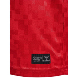 hummel DBU D&auml;nemark Heimtrikot 2024 Kinder 3365 - tango red 128