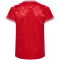 hummel DBU D&auml;nemark Heimtrikot 2024 Kinder 3365 - tango red 128