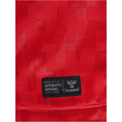 hummel DBU D&auml;nemark Heimtrikot 2024 3365 - tango red S