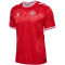 hummel DBU D&auml;nemark Heimtrikot 2024 3365 - tango red S
