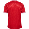 hummel DBU D&auml;nemark Heimtrikot 2024 3365 - tango red S