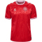hummel DBU D&auml;nemark Heimtrikot 2024 3365 - tango red S