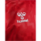 hummel DBU D&auml;nemark Heimtrikot 2024 3365 - tango red S