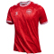 hummel DBU D&auml;nemark Heimtrikot 2024 3365 - tango red S