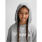 hummel hmlGO 2.0 Logo Hoodie Kinder 2006 - grey melange 140