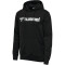 hummel hmlGO 2.0 Logo Hoodie 2001 - black M