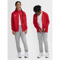 hummel hmlGO 2.0 Kapuzenjacke Kinder 3062 - true red 116