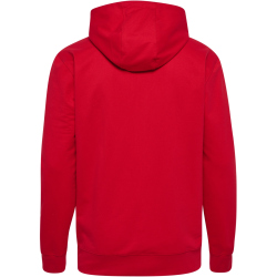 hummel hmlGO 2.0 Kapuzenjacke 3062 - true red S