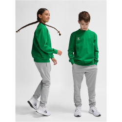 hummel hmlGO 2.0 Sweatshirt Kinder 6235 - jelly bean 164
