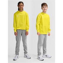 hummel hmlGO 2.0 Sweatshirt Kinder 5269 - blazing yellow 116