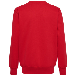 hummel hmlGO 2.0 Sweatshirt Kinder 3062 - true red 164