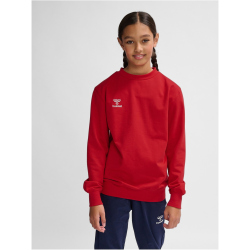 hummel hmlGO 2.0 Sweatshirt Kinder 3062 - true red 164
