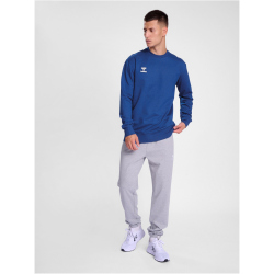 hummel hmlGO 2.0 Sweatshirt 7045 - true blue L
