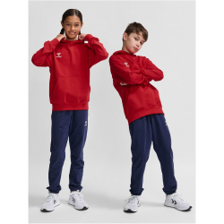hummel hmlGO 2.0 Hoodie Kinder 3062 - true red 164