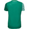 hummel SV Werder Bremen Heimtrikot 2023/24 Damen 6170 - eden S