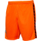 hummel SV Werder Bremen Torwartshorts 2023/24 5190 - orange tiger S