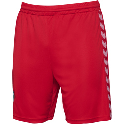 hummel SV Werder Bremen Torwartshorts 2023/24 3062 - true...