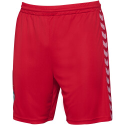 hummel SV Werder Bremen Torwartshorts 2023/24 3062 - true...