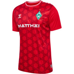 hummel SV Werder Bremen Torwarttrikot 2023/24 3062 - true...