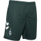 hummel SV Werder Bremen Ausweichshorts 2023/24 6108 - scarab M