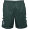 hummel SV Werder Bremen Ausweichshorts 2023/24 6108 - scarab M
